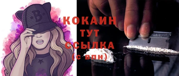 шишки Арсеньев