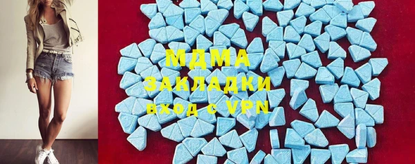 шишки Арсеньев