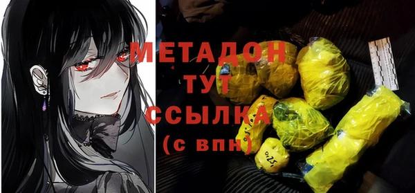 шишки Арсеньев