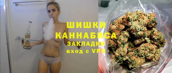 сатива Алзамай